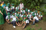 N C Jindal Public School-Tree Plantation
